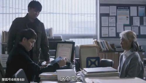 国产老妇人,国产老妇人的人生篇章