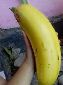 大香蕉国产91,揭秘国产影视的崛起之路